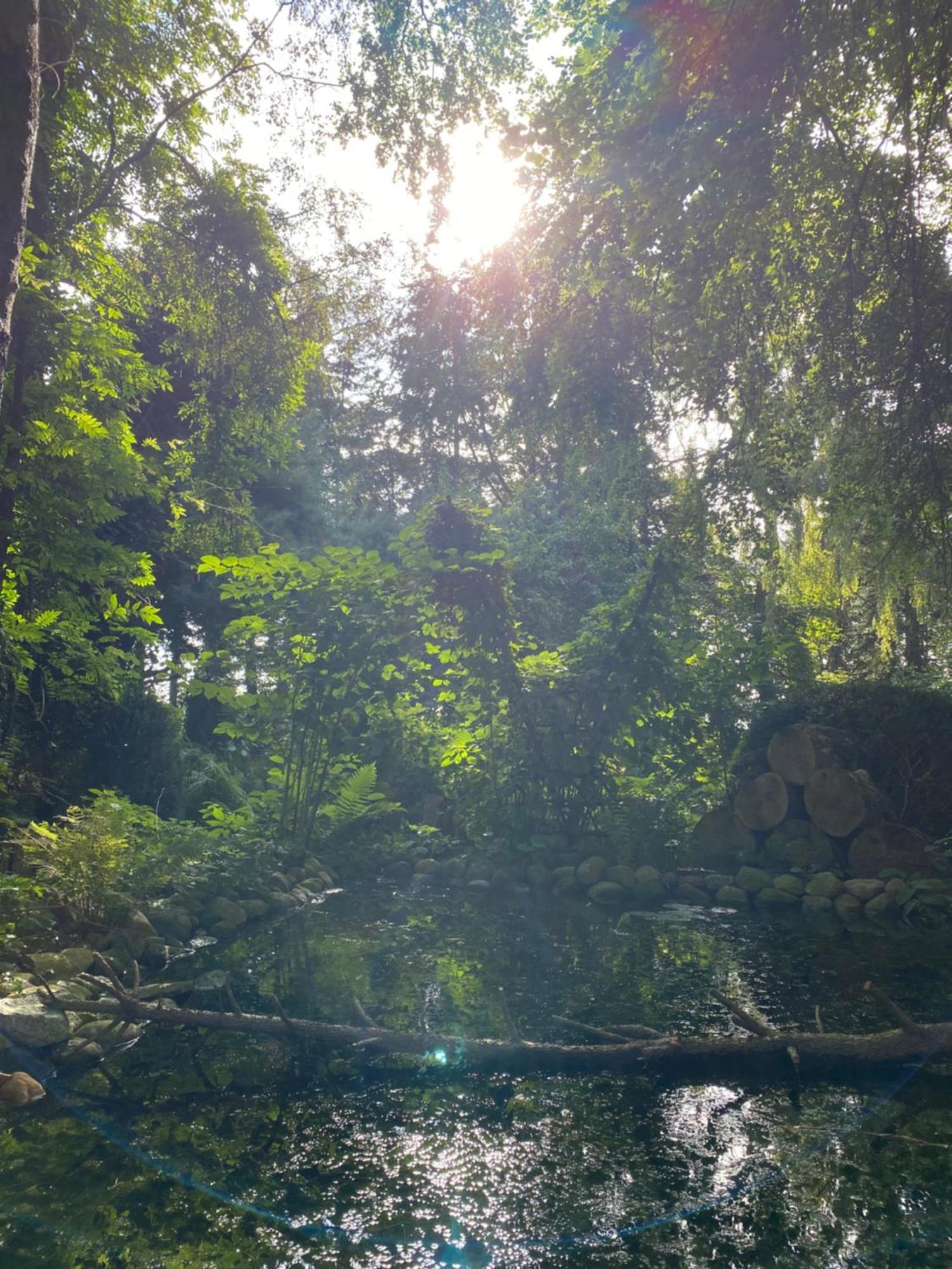 Ferienwohnung Auf Einem Resthof Zentral Gelegen Mit Viel Natur Und Tieren Rendswuhren エクステリア 写真